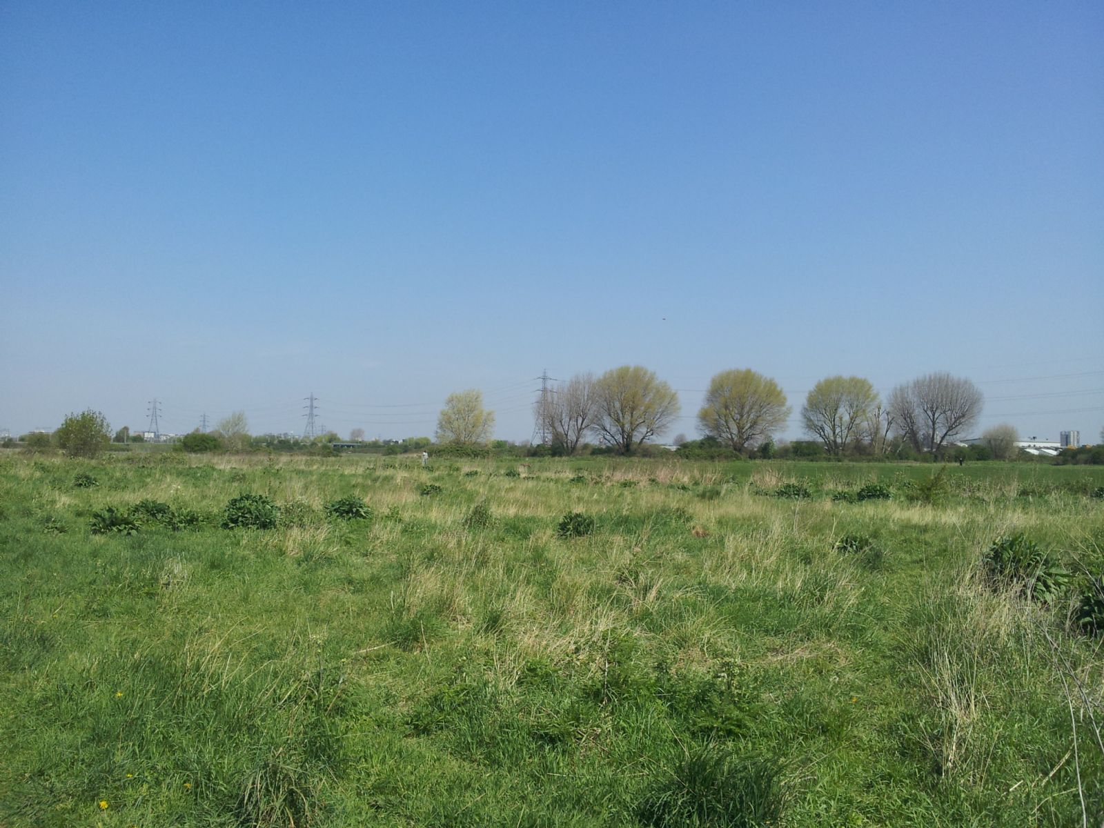 Walthamstow Marshes